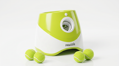 Automatic Ball Launcher for Dogs | Interactive Fetch Toy