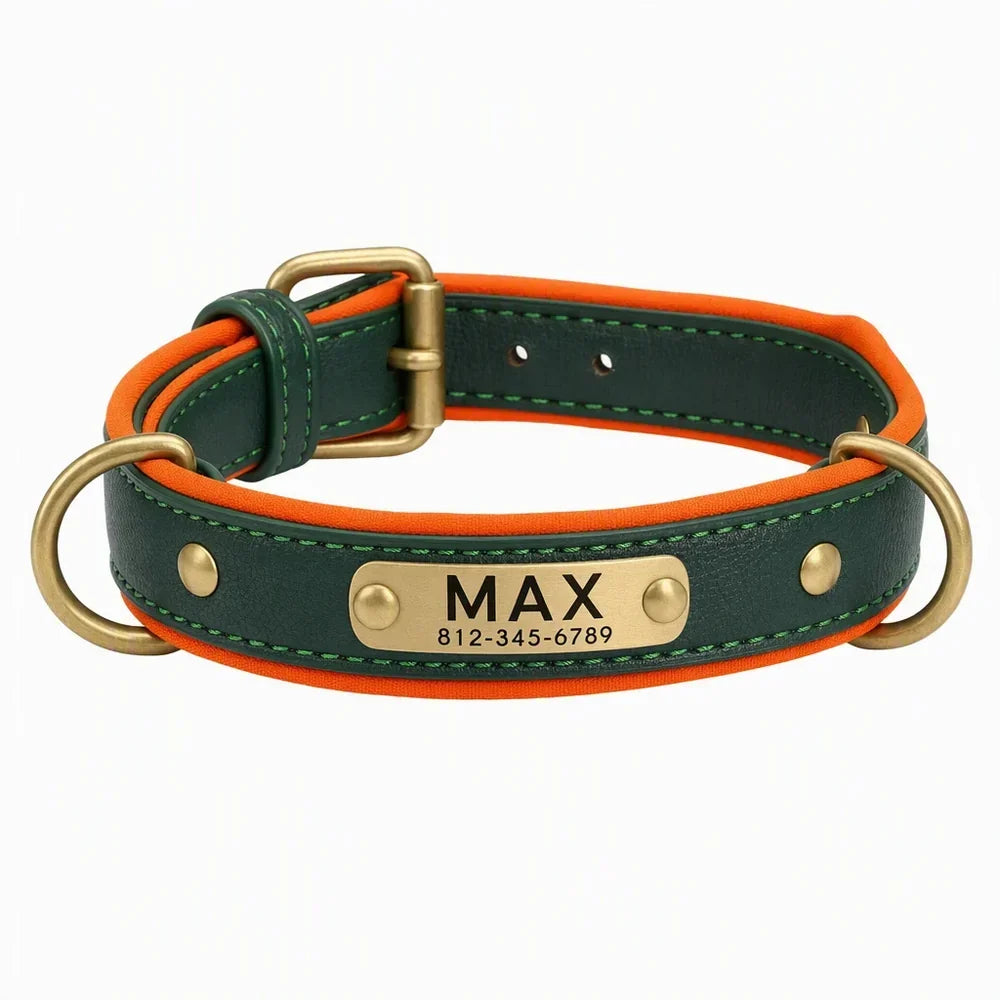 Personalised Dog Collar With Name: A Stylish ID Guide for Australian Pet Owners