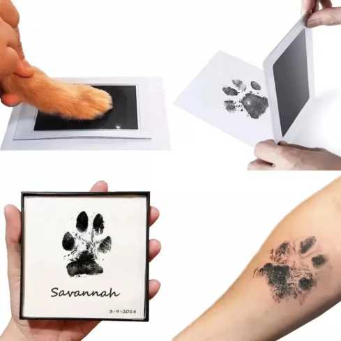 Inkless Pet Paw Print Keepsake Pad for Dogs and Cats