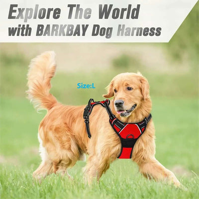 No-Pull Reflective Dog Harness – Adjustable Dual-Clip Walking Harness