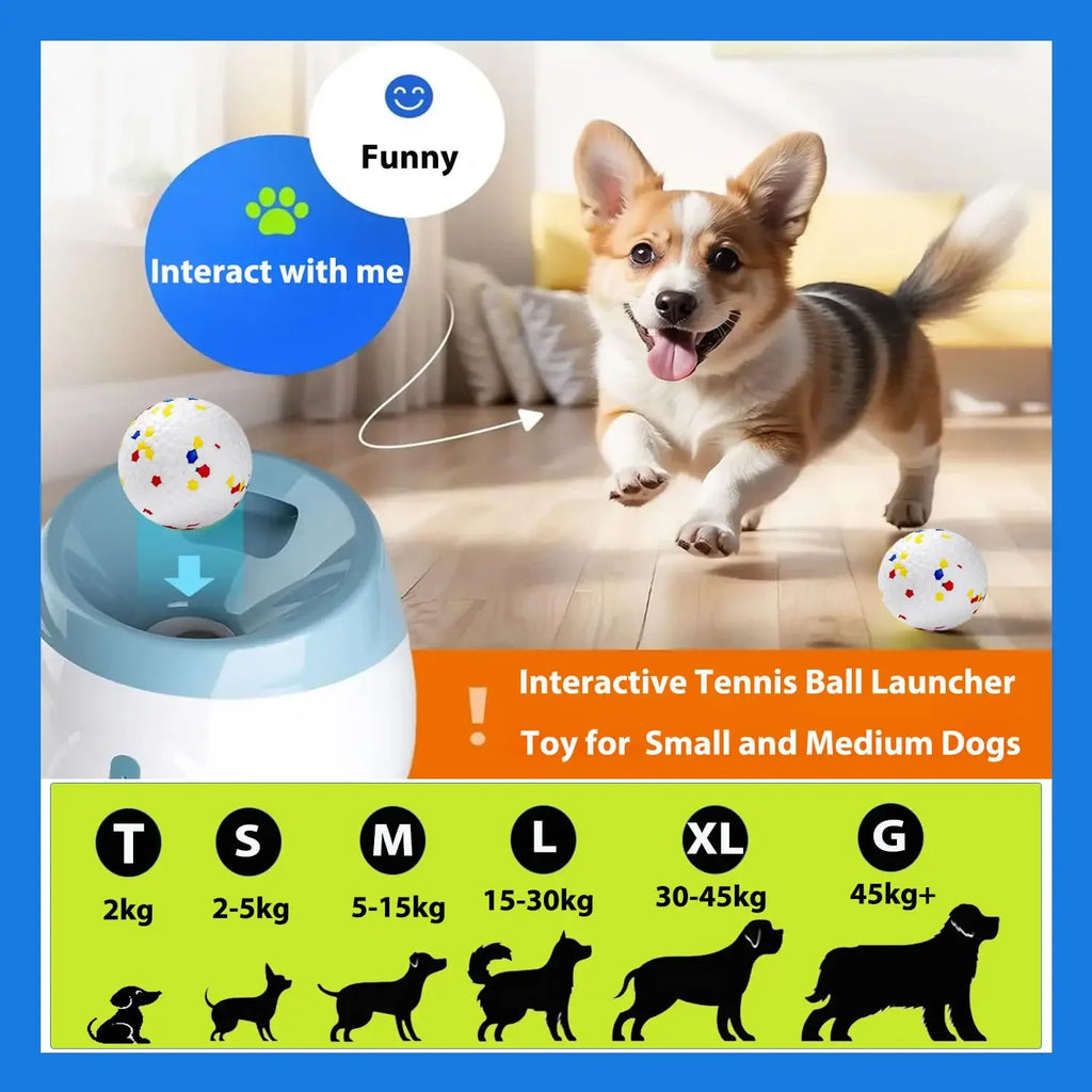Automatic Interactive Ball Launcher