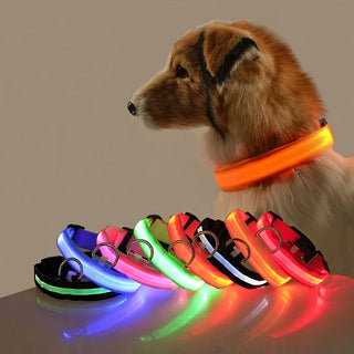 LED Glow-in-the-Dark Dog Leash & Collar Set