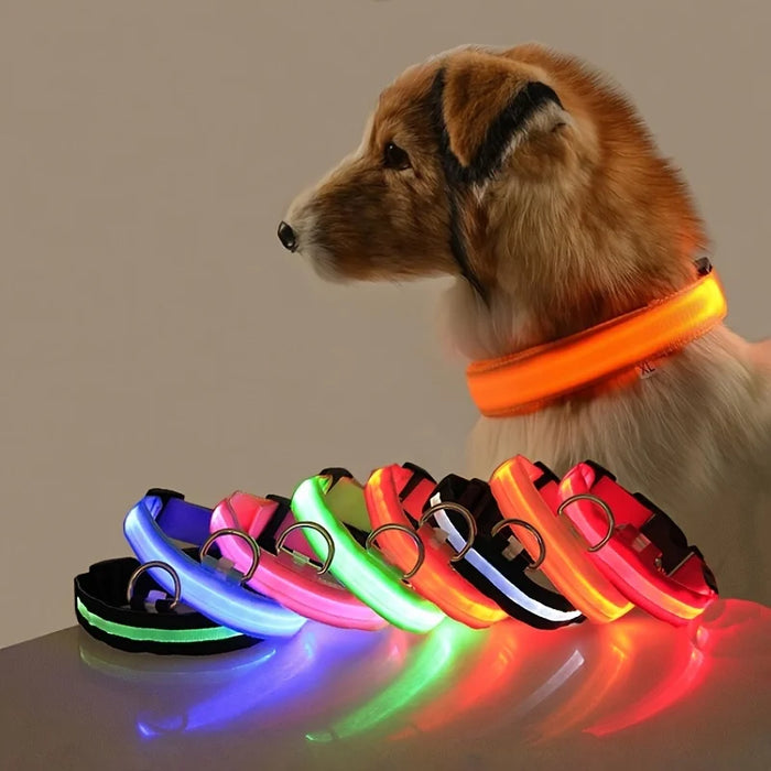 Pawzzie LED Glow-in-the-Dark Dog Leash & Collar Set