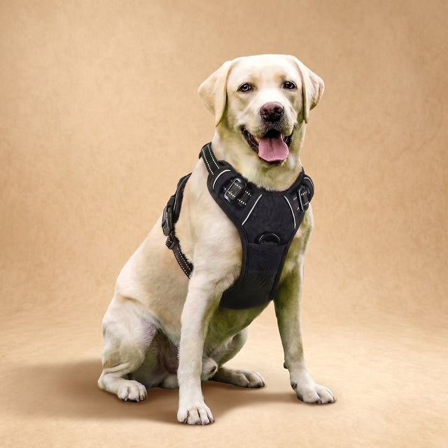 No-Pull Dog Harness with Reflective Stitching — Pawzzie