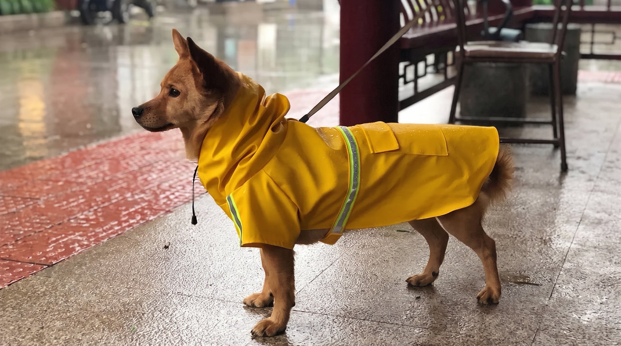 Waterproof Dog Raincoat — Pawzzie