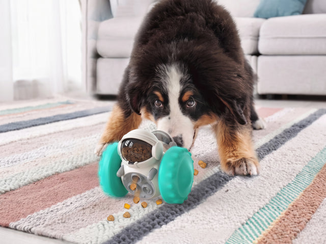 Interactive Dog Puzzle Slow Feeder Toy — Pawzzie